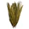 43" Natural Dried Plant Palm Leaf Bunch with Feather-Inspired Stems